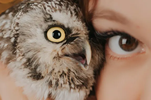 Casino Royal Winner Ënnerstëtzung